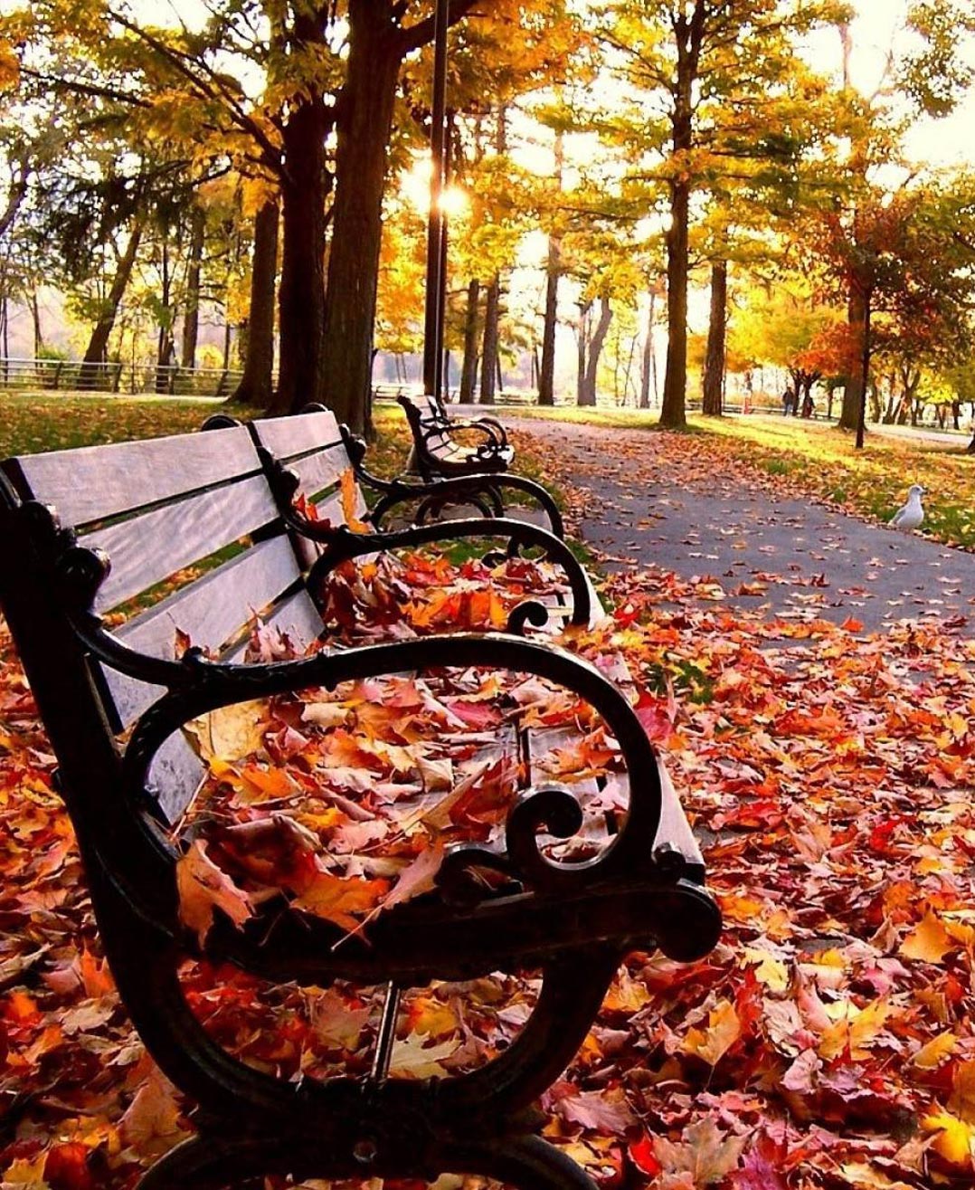 fall